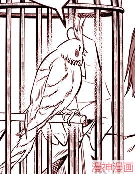 鹦鹉酱想要告诉他~,鹦鹉酱想要告诉他~漫画